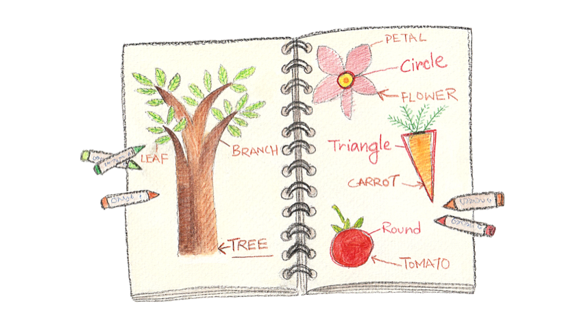 A journal page connecting nature to shapes and ideas &mdash; a leaf and branch, a petal and circle, a carrot and triangle.